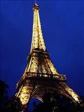 by felicia_bonanno, Views[139]