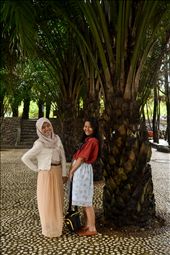 by felicidi, Views[175]