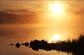 Hazelwood, Sligo: by fergus, Views[410]