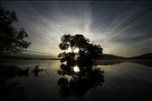 Hazelwood, Sligo: by fergus, Views[388]