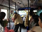 Bus a caminho da praia: by fernandoamarante, Views[260]