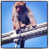 by fernandoamarante, Views[177]