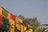 Sarnath: by fernandoamarante, Views[253]