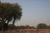 Sarnath: by fernandoamarante, Views[184]