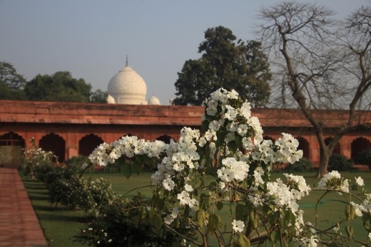 Ele começa a aparecer...