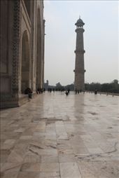 by fernandoamarante, Views[331]