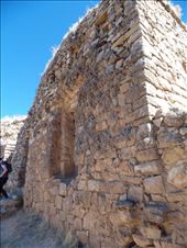 by fernandrob, Views[240]