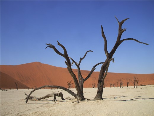 Namib Dessert, Africa, 2010