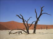 Namib Dessert, Africa, 2010: by fgpimagenysonido, Views[246]