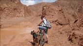 Riding a bike after a big storm in Atacama Dessert, North Chile 2013 : by fgpimagenysonido, Views[251]