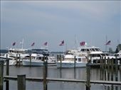 Our lunch view: by fiddlegirl8, Views[295]