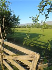 Just another gorgeous scene along my walk to the lake: by fiddlegirl8, Views[249]