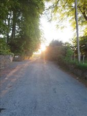 The path home: by fiddlegirl8, Views[288]