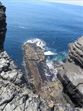 by fiddlegirl8, Views[233]