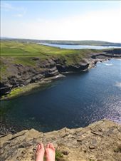 by fiddlegirl8, Views[381]