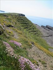 by fiddlegirl8, Views[344]