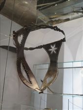 by fiddlegirl8, Views[175]