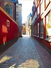 by fiddlegirl8, Views[222]