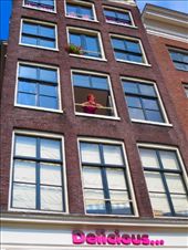 by fiddlegirl8, Views[203]