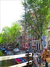 by fiddlegirl8, Views[198]