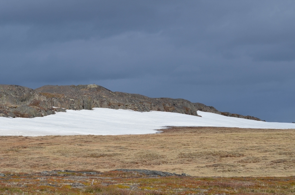 I often feel as though I have stepped into a Group of Seven painting when I am in the Canadian Arctic. The paintings of Lawren Harris first gave me a sense of this place. Bathurst Inlet, Nunavut.