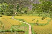 walk this up to reach Echo Guess House: by fiktaria, Views[161]