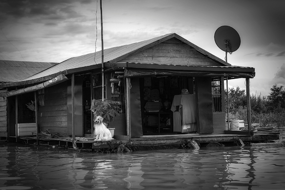 ...and the biggest pagodas don't lack anything compared to their dry land counterparts, including satellite TV and dogs waiting on the front porch!
