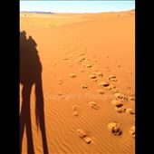 by fillytheexplorer, Views[372]