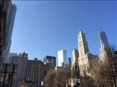 FIDI: by finally, Views[358]