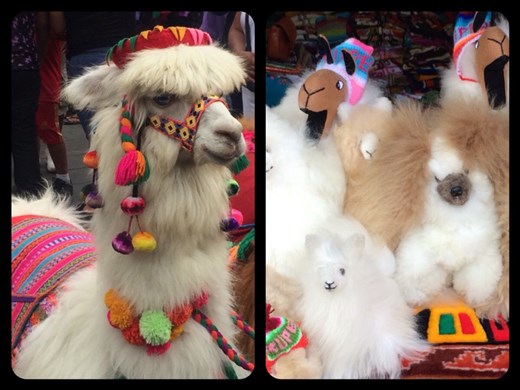 Which one's real and which one's fake?! At the market in Lima. 