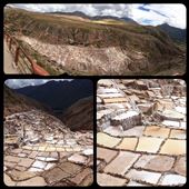 Salt mines of Maras! So beautiful. Part of the previous excursion. Wonderful terraces of salt. Used by the Incas. And still used today. : by finally, Views[338]
