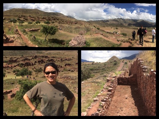 Other Inca ruins. Oops. Seriously. Can't remember the name. Too many!