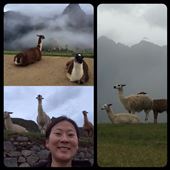 Sauveuse des animaux, hihi! ;-): by finally, Views[372]