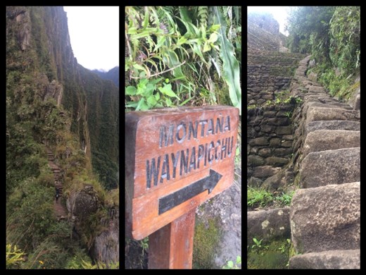 Ascension du Huayna Picchu qui a différentes orthographes apparemment 