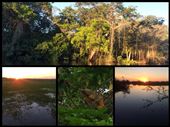 Sunrise and sunset. Lots of cute little cappuccino monkeys.: by finally, Views[536]