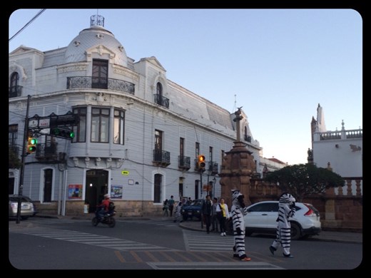 Les personnes en costumes de zèbre sont appelées les zébra. Ils font la circulation aux heures de pointe en semaine mais de façon amicale et joyeuse. Ça permet de diminuer le stress de l'heure de pointe autant pour les voitures que les piétons. Bonne idée! 