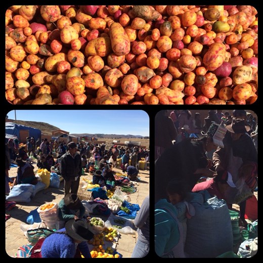 Marché du dimanche à Tarabuco. Notez le chapeau de la dame sur la photo de droite en bas, assez original et très courant dans cette région. Même les pommes de terre sont colorées là-bas. 