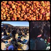 Marché du dimanche à Tarabuco. Notez le chapeau de la dame sur la photo de droite en bas, assez original et très courant dans cette région. Même les pommes de terre sont colorées là-bas. : by finally, Views[454]