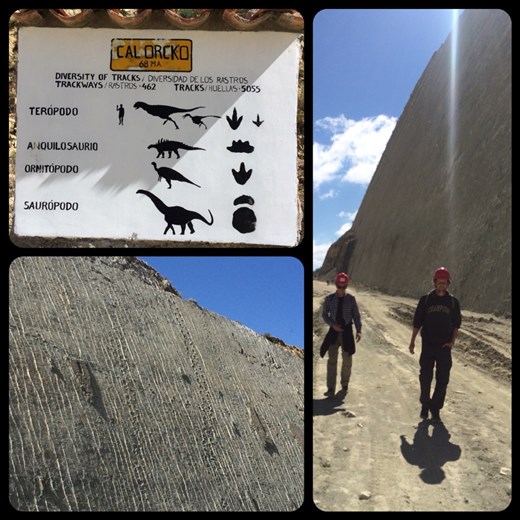 Les différentes empreintes que nous étions censées voir sur la paroi. 