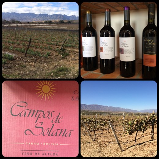 During our excursion on the ruta del vino in Tarija. Since we were only a group of 2, we had to finish the bottle of wine ourselves for the first tasting. At 9:30am. No joke. :-( I could barely sit up straight in the car after. Don't remember much after that, I think we did other vineyards. But I'm not really sure ...