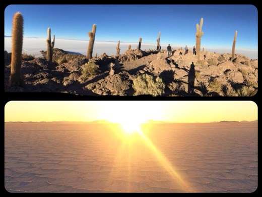 Visite d'une île avec des cactus géants au milieu du désert de sel puis coucher du soleil sur le salar. Superbes polygones de sel. Nous avons vu des mirages froids aussi, très chouette! 