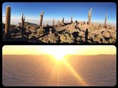 Visite d'une île avec des cactus géants au milieu du désert de sel puis coucher du soleil sur le salar. Superbes polygones de sel. Nous avons vu des mirages froids aussi, très chouette! : by finally, Views[374]