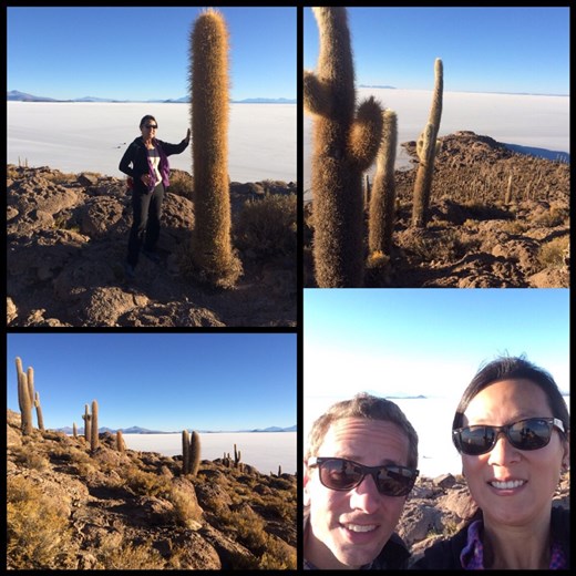 L'île aux cactus juste là au milieu du salar. Front back, yeah! ;-) 