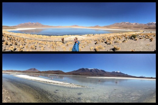 Laguna Colorada (lagune colorée). Il restait quelques flamants roses (flamants de James en fait, https://fr.m.wikipedia.org/wiki/Flamant_de_James) encore qu'il s'apprêtait immigrer vers les pays plus chauds. 