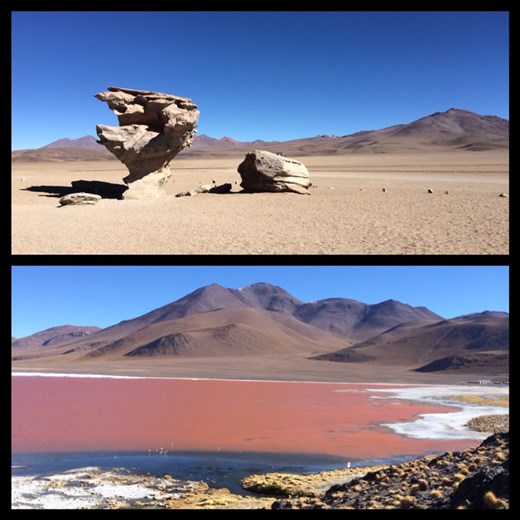 L'arbre de pierre est une formation naturelle due au vent qui souffle très fort dans cette partie du désert. En quelques jours, on a vu une succession de paysages tellement différents des un des autres... Je me répète je sais ;-) hihi car c'était trop bien! 