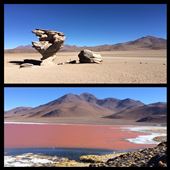 L'arbre de pierre est une formation naturelle due au vent qui souffle très fort dans cette partie du désert. En quelques jours, on a vu une succession de paysages tellement différents des un des autres... Je me répète je sais ;-) hihi car c'était trop bien! : by finally, Views[325]