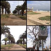 La ville de La Serena, jolie ville au bord de la mer. Petit arrêt entre San Pedro de Atacama et Santiago/Valparaiso. : by finally, Views[503]