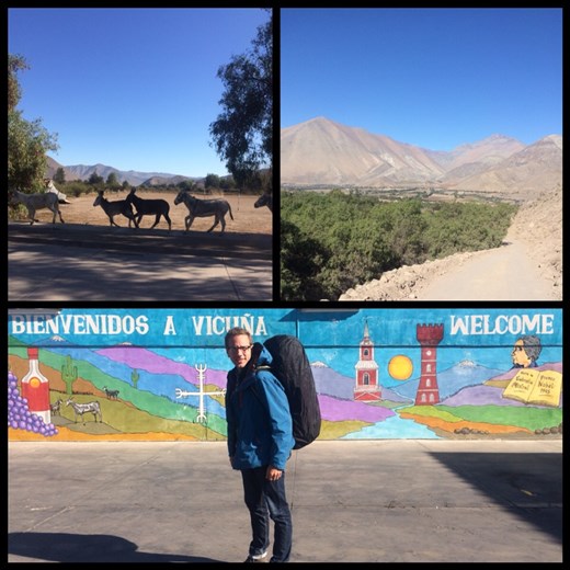 Joli village de Vicuña dans une vallée ensoleillée près de La Serena et connu pour ses fruits et ses légumes. Endroit  très calme et reposant. 