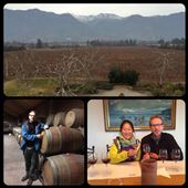 Visit of La Aquitania vineyard. You can take the subway/bus to get here!: by finally, Views[510]