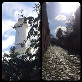 Au fil des rues de Colonia. Des oranges en hiver! ;-) : by finally, Views[495]